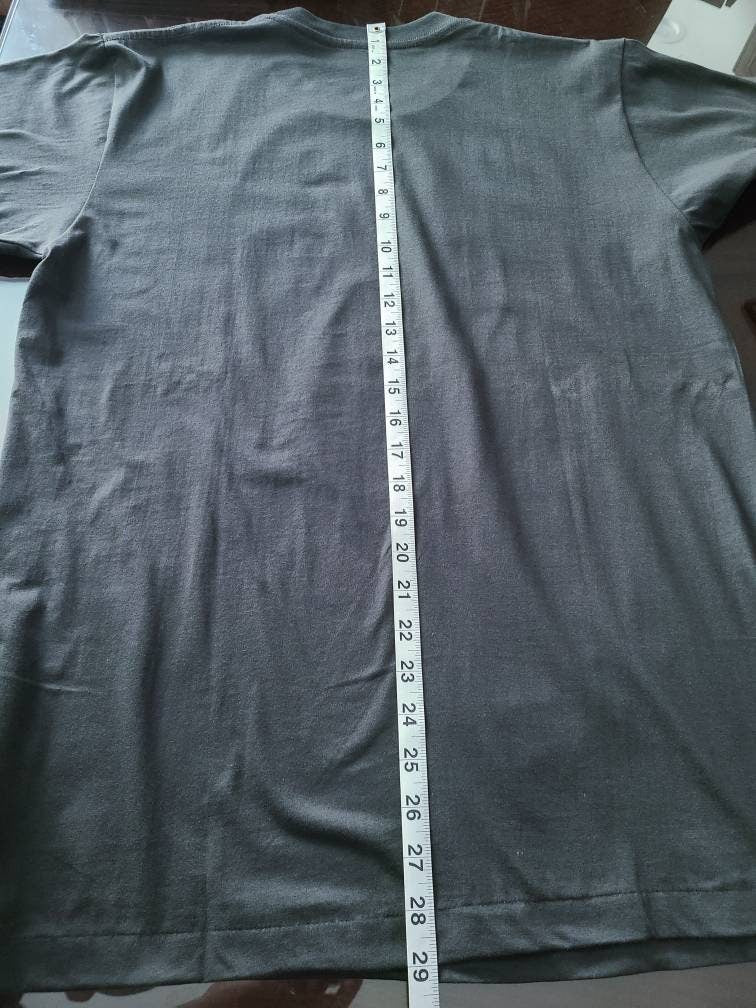 The Doors The Unknown Soldier Rock Tee T Shirt Faded Gray