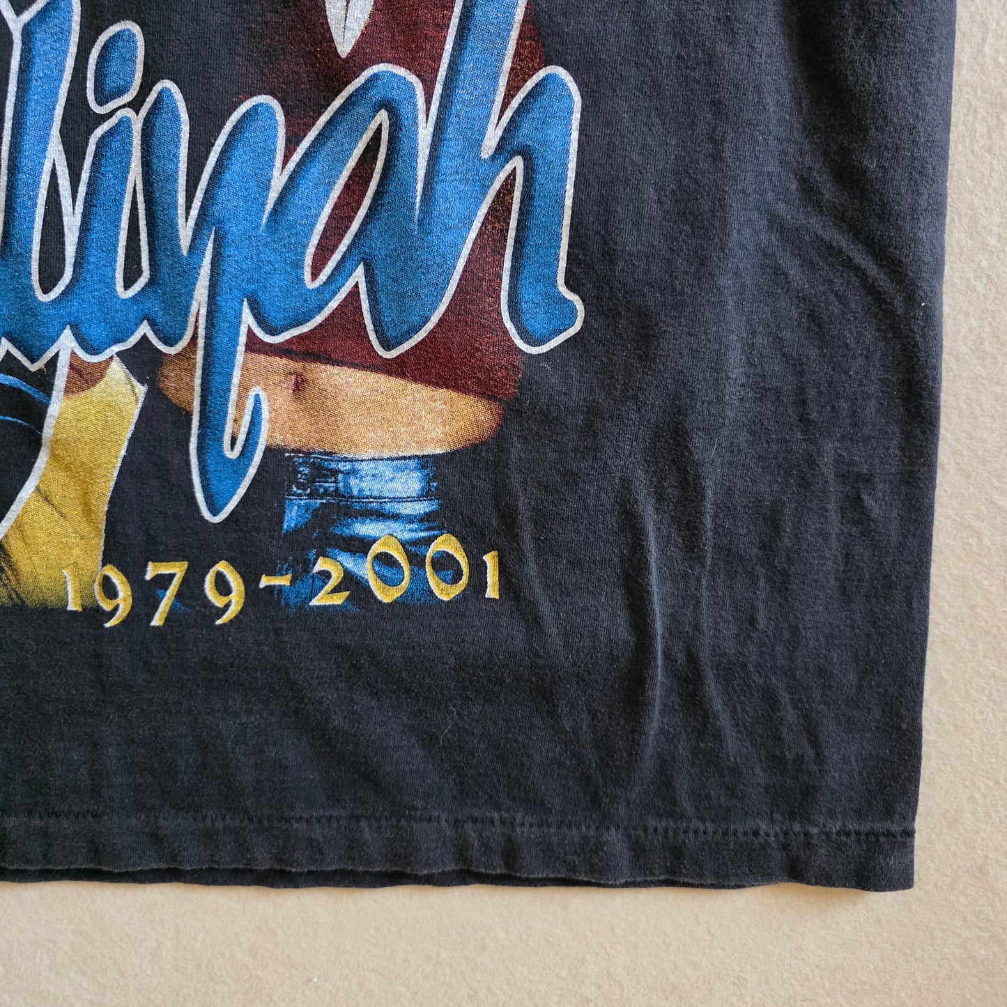 Aaliyah Memorial One In Million Graphic Tee Tshirt Large L Faded Black