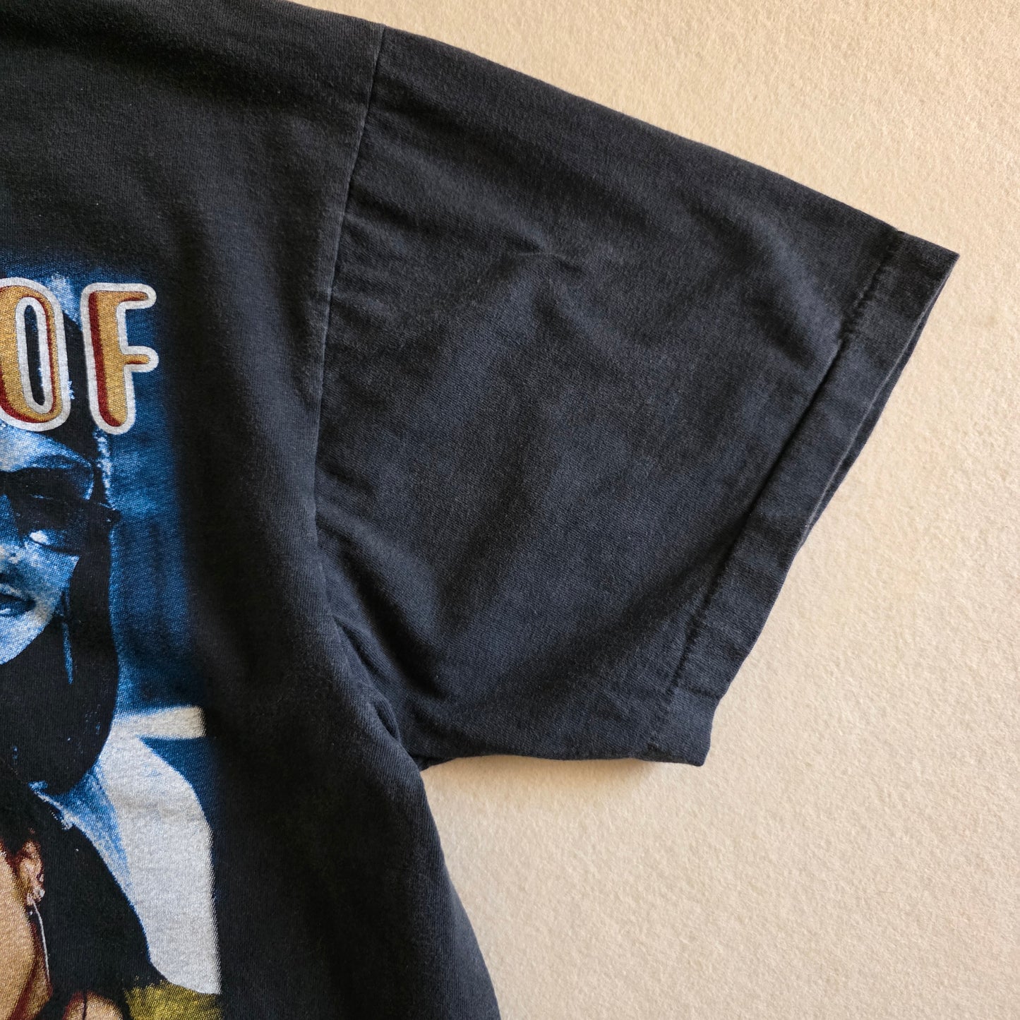 Aaliyah Memorial One In Million Graphic Tee Tshirt Large L Faded Black