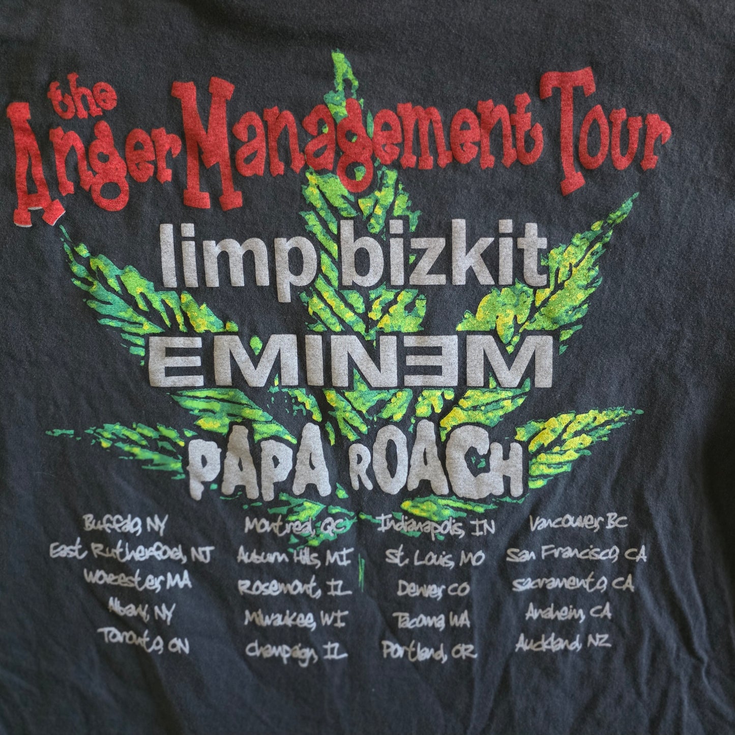 Limp Bizkit Eminem Papa Roach Anger Management Tour Tee Tshirt L Faded