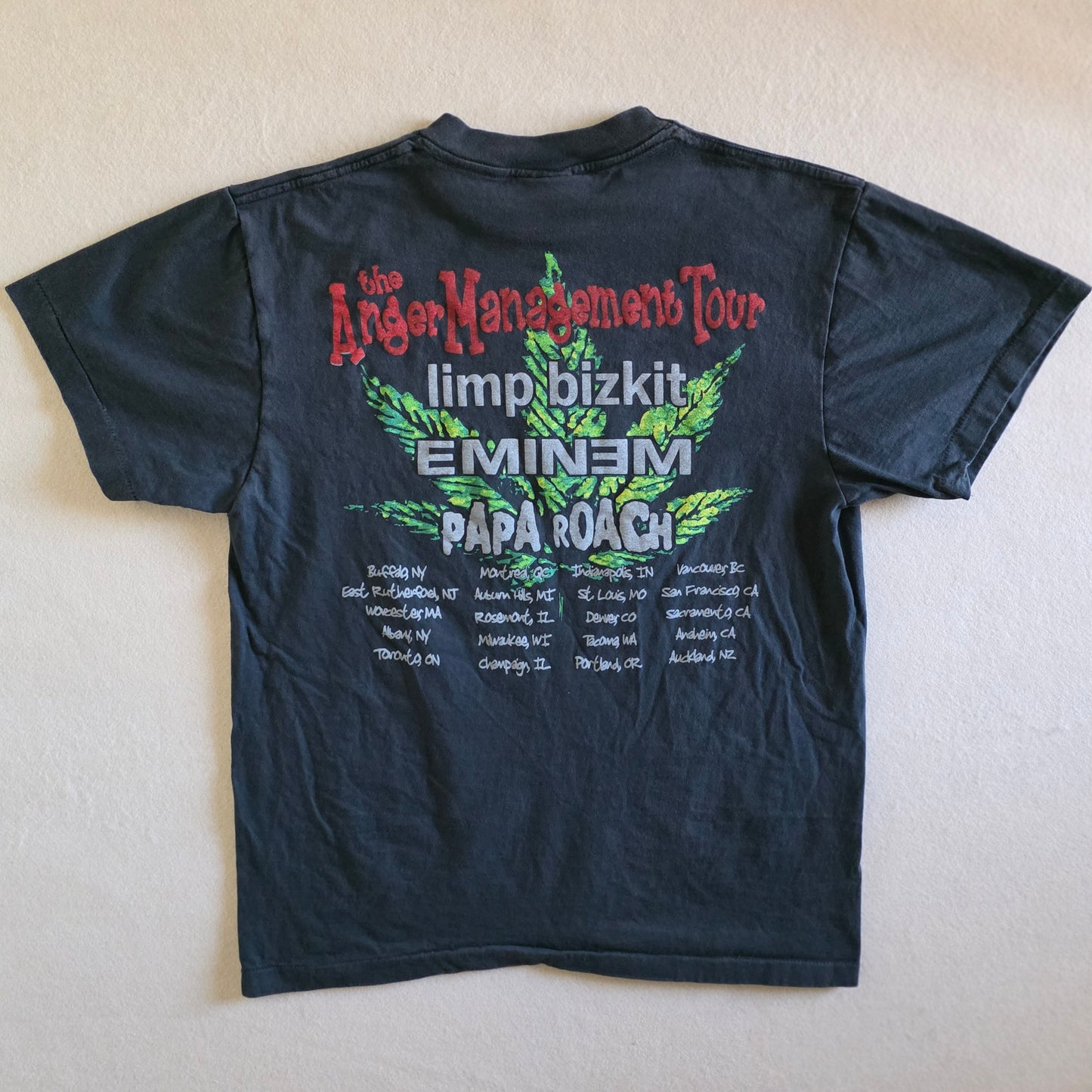 Limp Bizkit Eminem Papa Roach Anger Management Tour Tee Tshirt L Faded