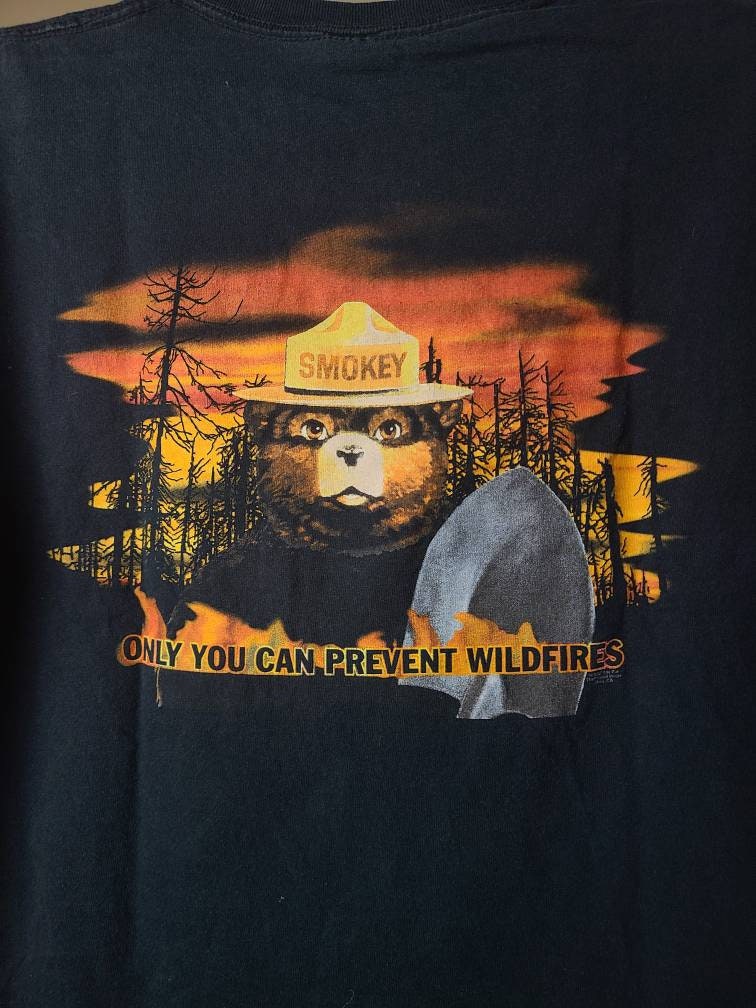 Rare True Vintage Smoky the Bear Only You T Shirt